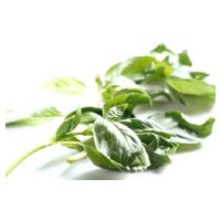 Chinese Nutrition Properties of Basil