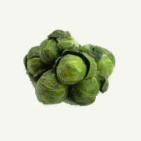 brussel_sprouts.gif