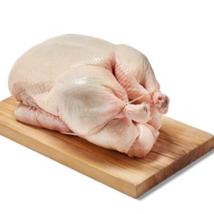 duck.jpg